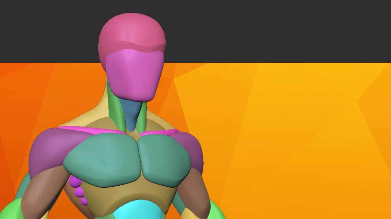 Anatomy