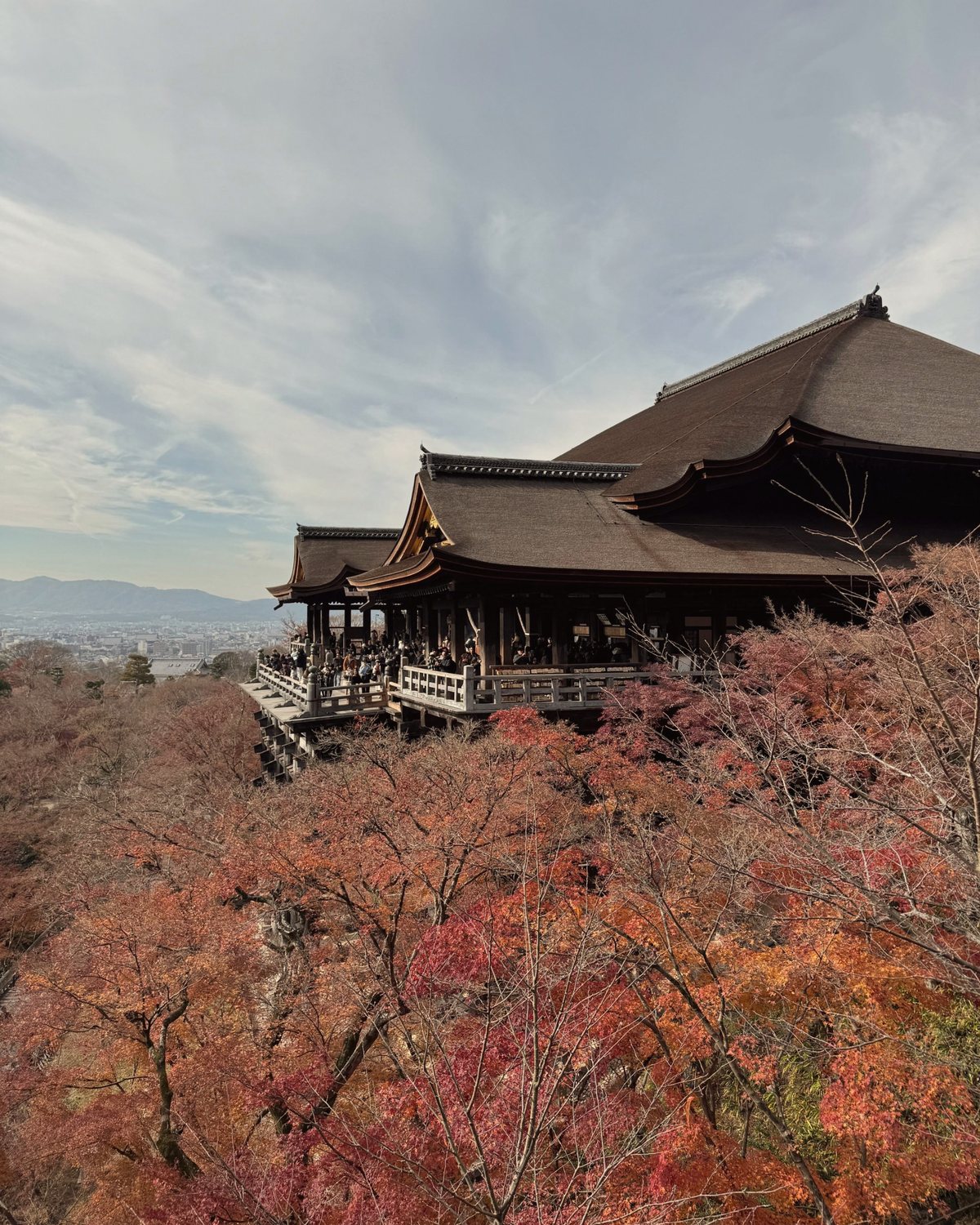 Kiyomizu-dera temple in Kyoto above autumn maples