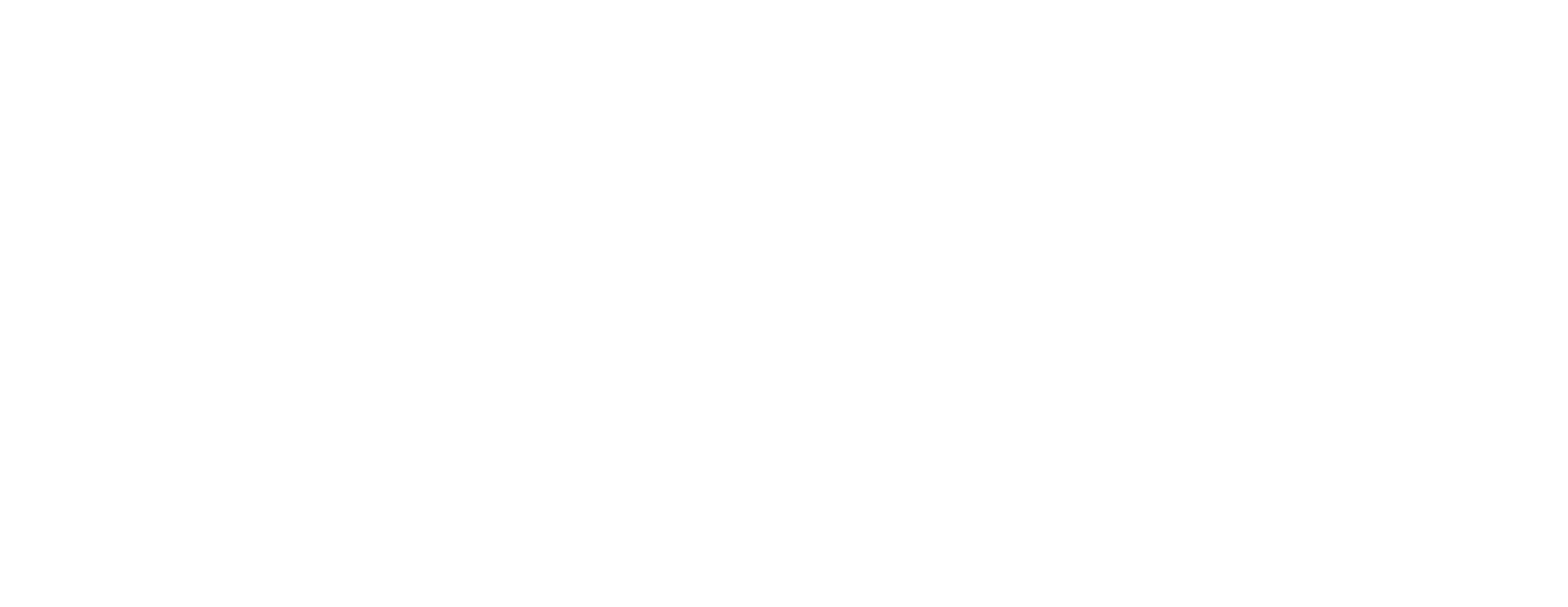 EZ Biz Business Solutionz