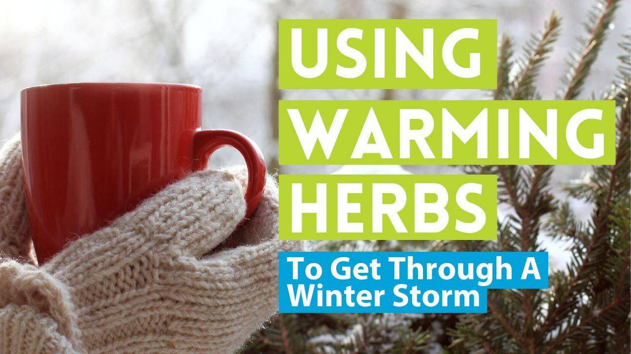 Herbs and Recipes to Warm & Nourished You During a Winter Snow Storm
