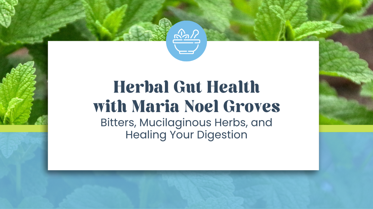 Herbal Gut Health with Maria Noel Groves: Heal Your Digestive System