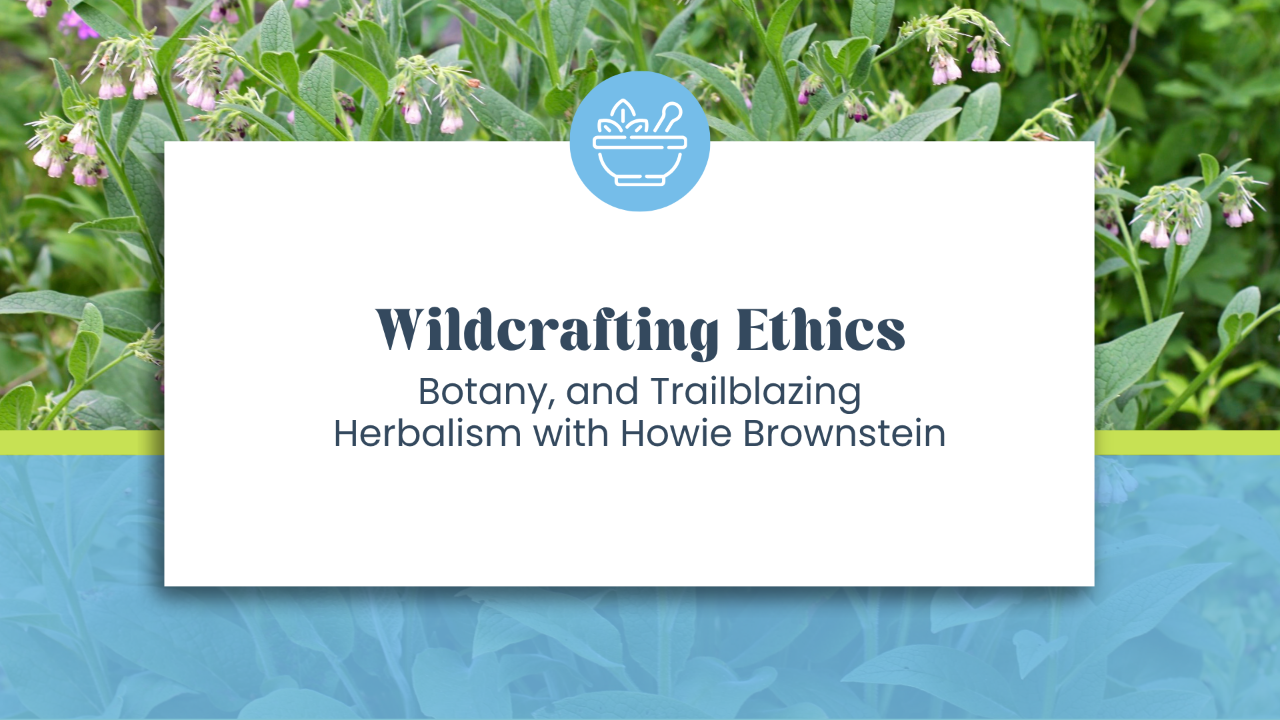 Wildcrafting Ethics and Botany with Howie Brounstein
