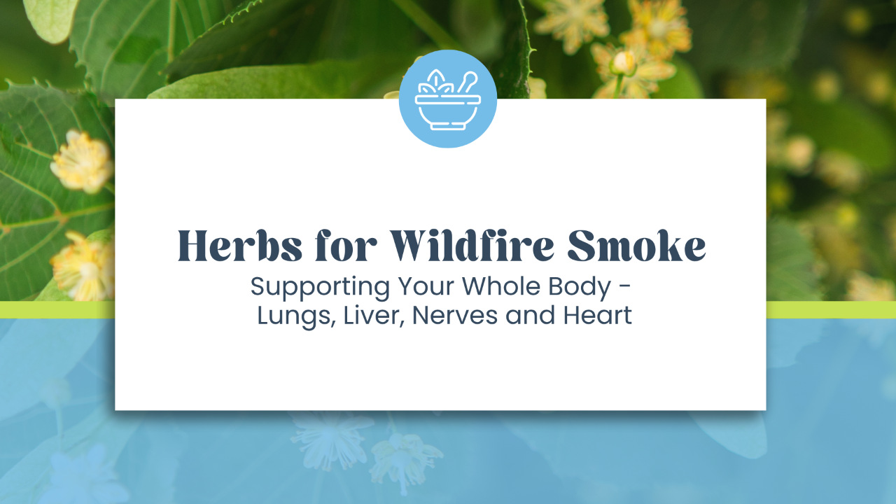 Herbs for Wildfire Smoke: Lungs, Liver, and Heart Support