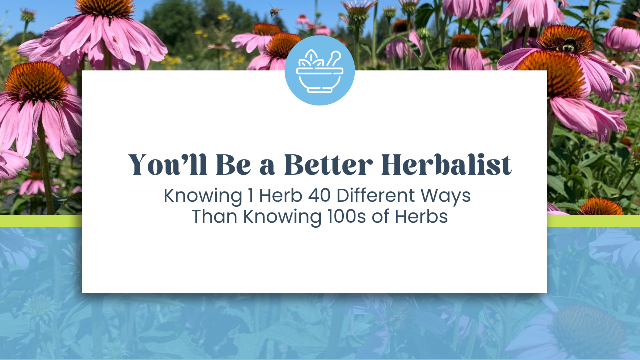 Know One Herb 40 Ways Will Make You a Better Herbalist, Than Knowing Hundreds of Herbs