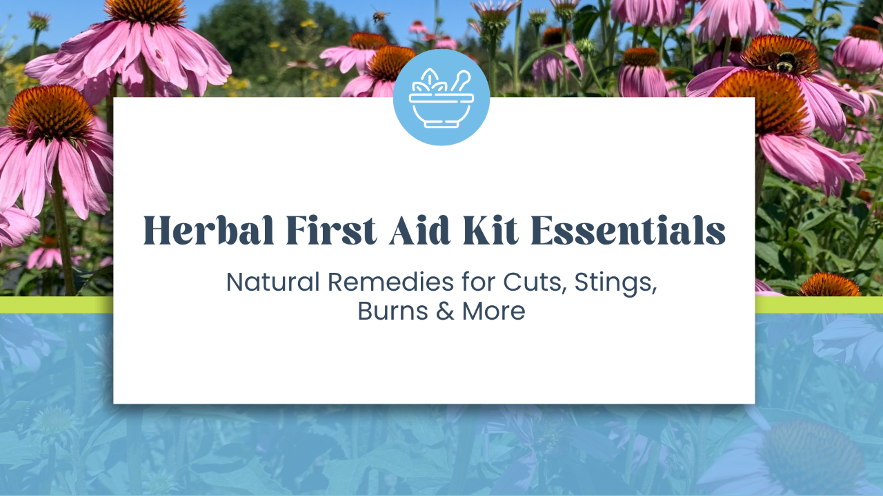 Herbal First Aid Kit Essentials: Natural Remedies for Cuts, Stings, Burns & More