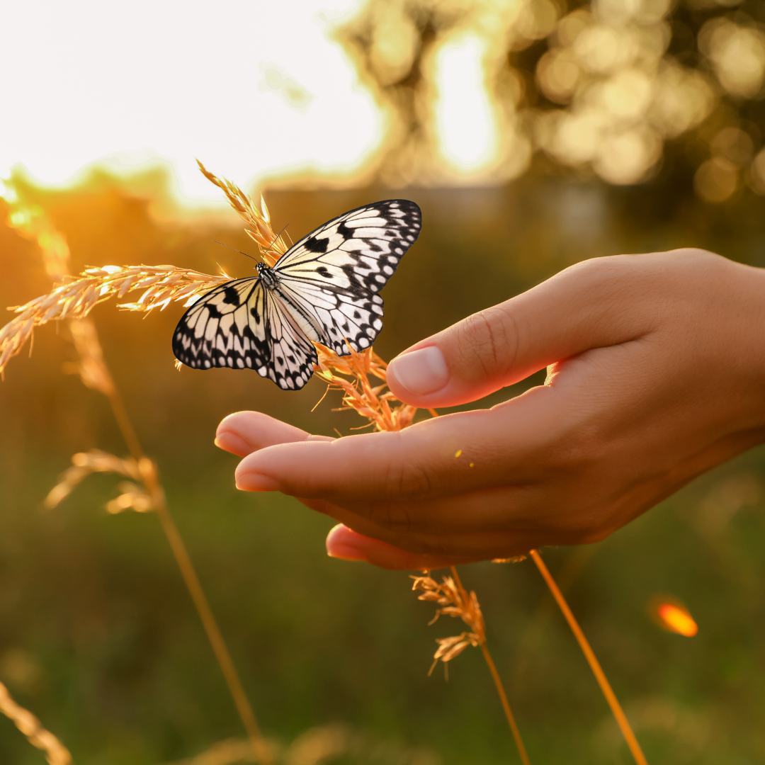 Reaching out in nature, soft gaze with a butterfly—present