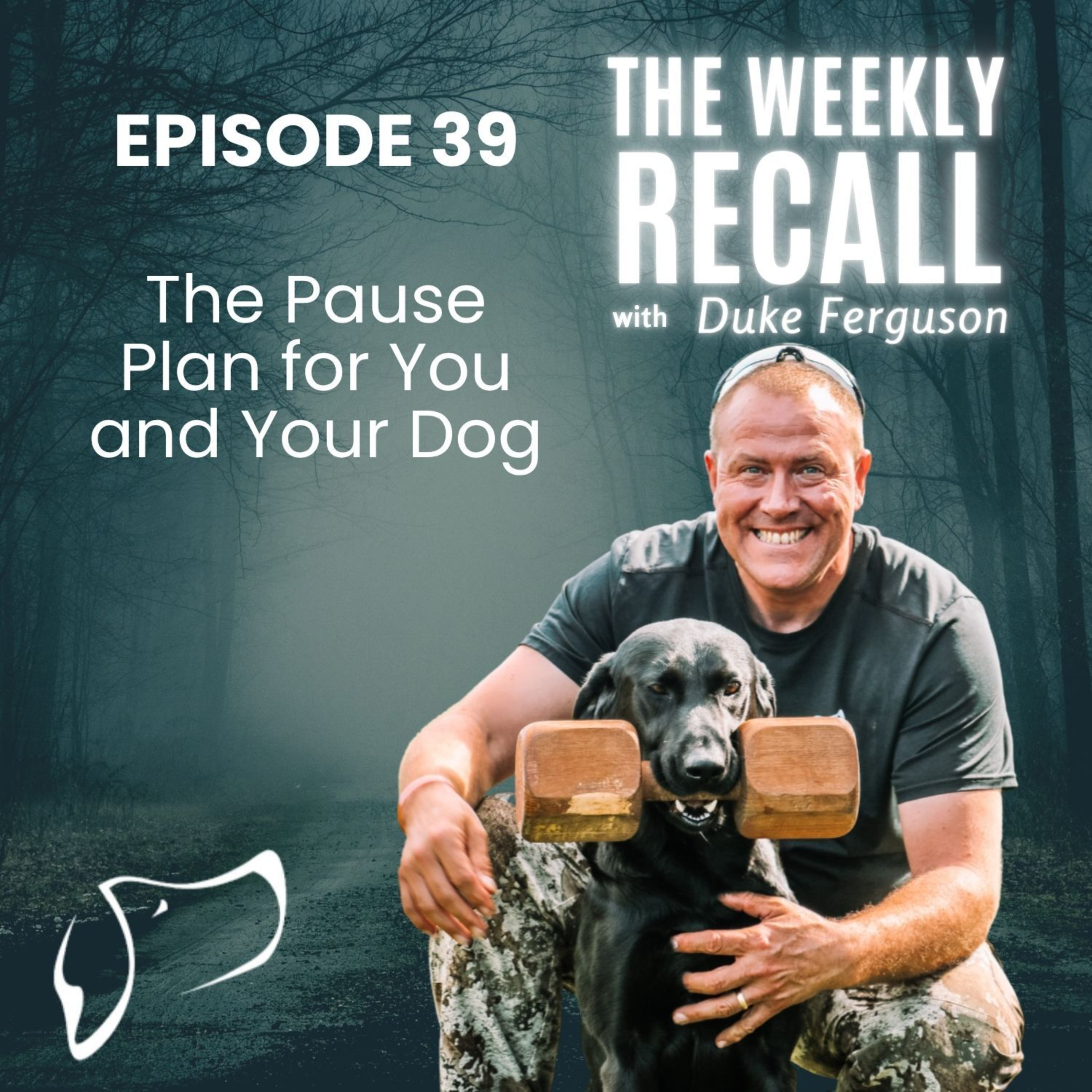 #39 The Pause Plan for You and Your Dog