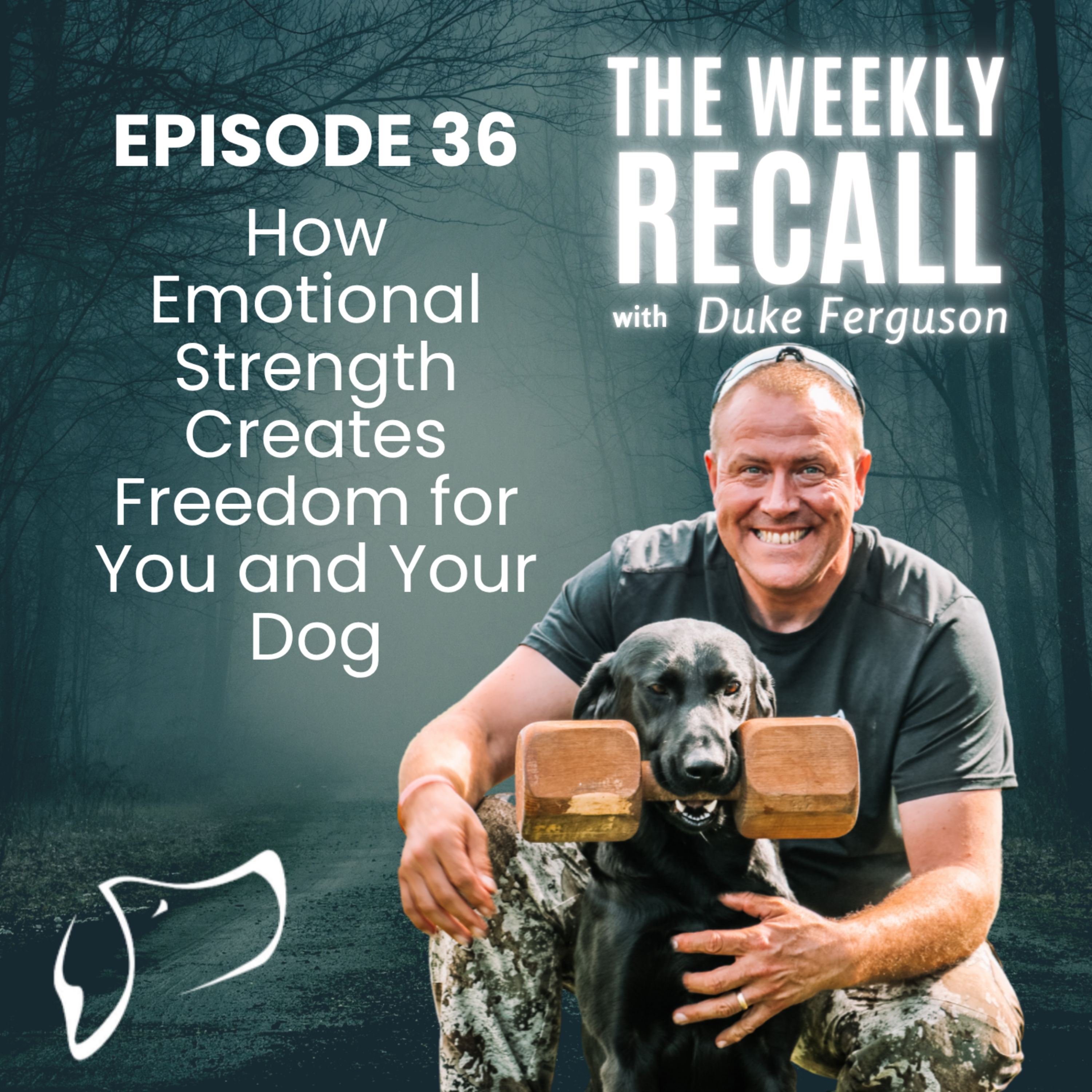 #36 How Emotional Strength Creates Freedom for You and Your Dog