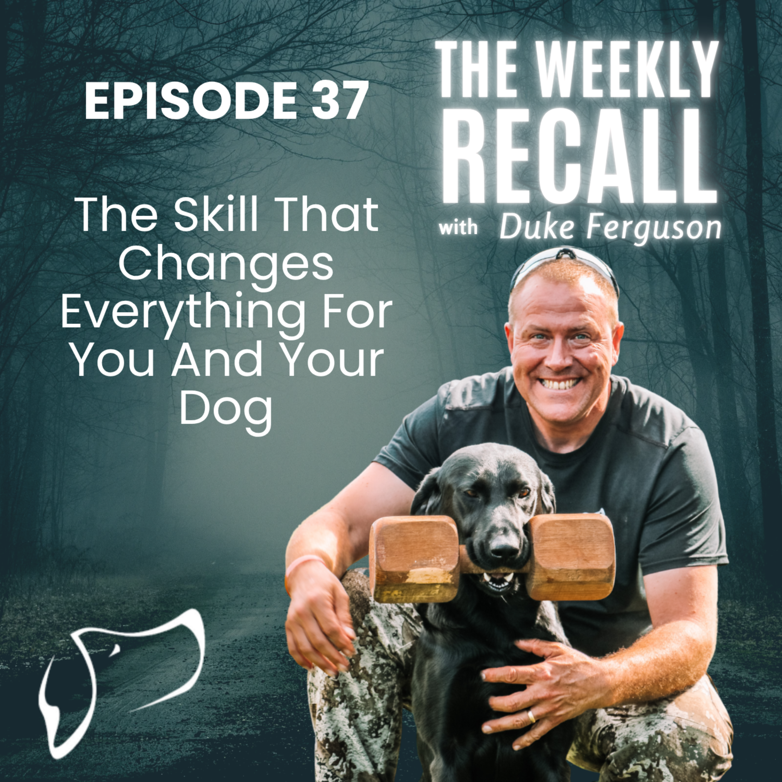 #37 The Skill That Changes Everything For You And Your Dog