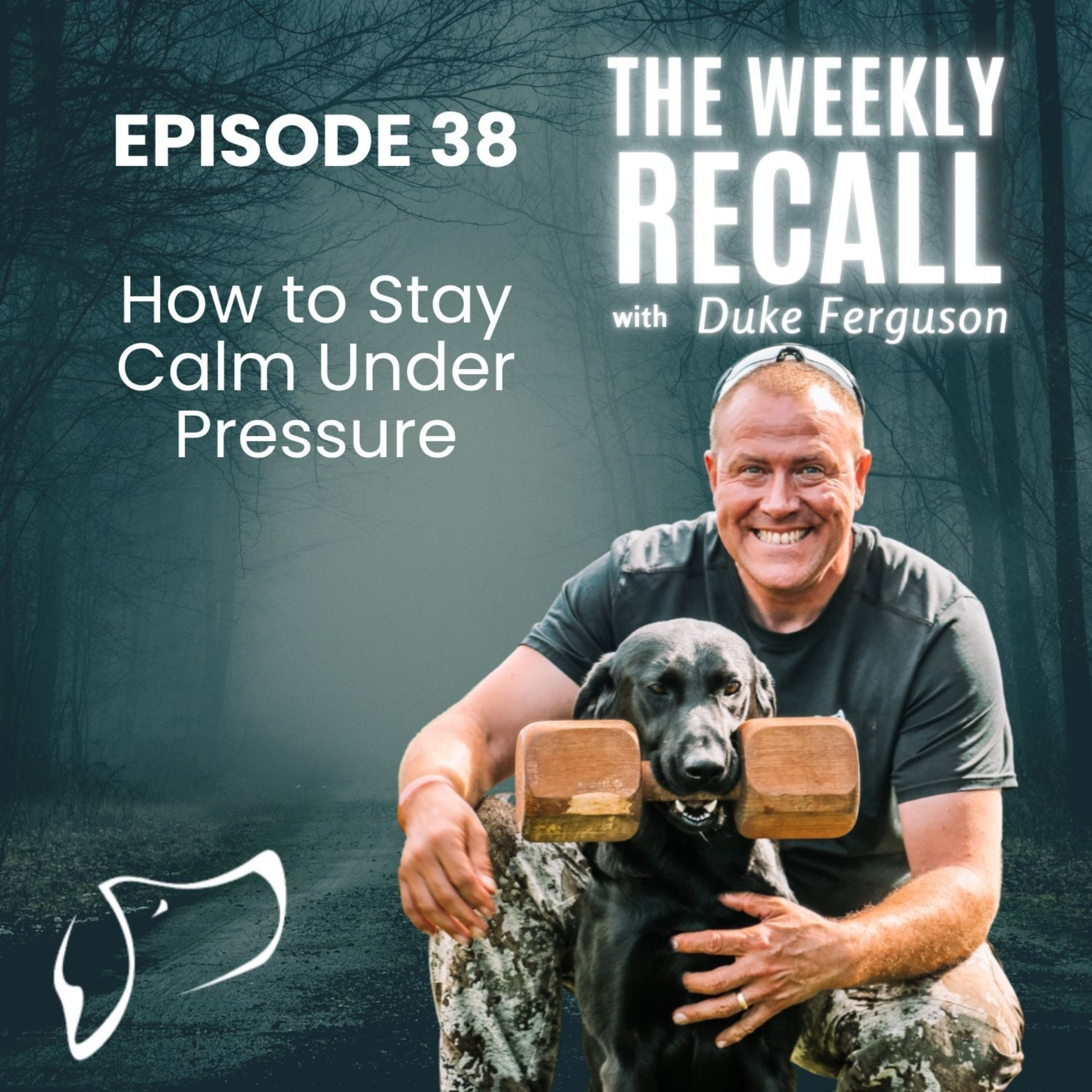 #38 How to Stay Calm Under Pressure