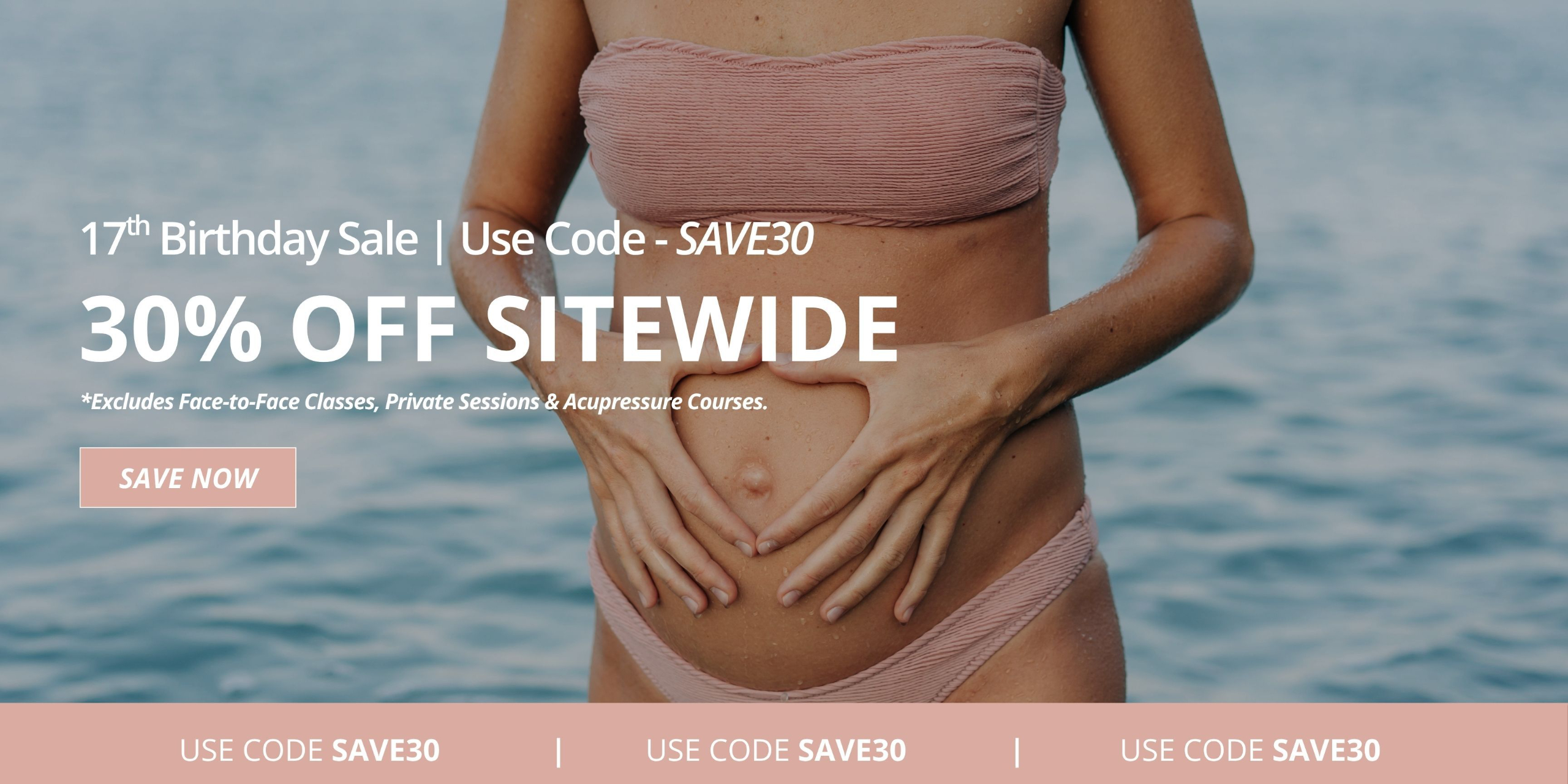 Birthday Sale! 30% off Sitewide with Coupon Code: SAVE30