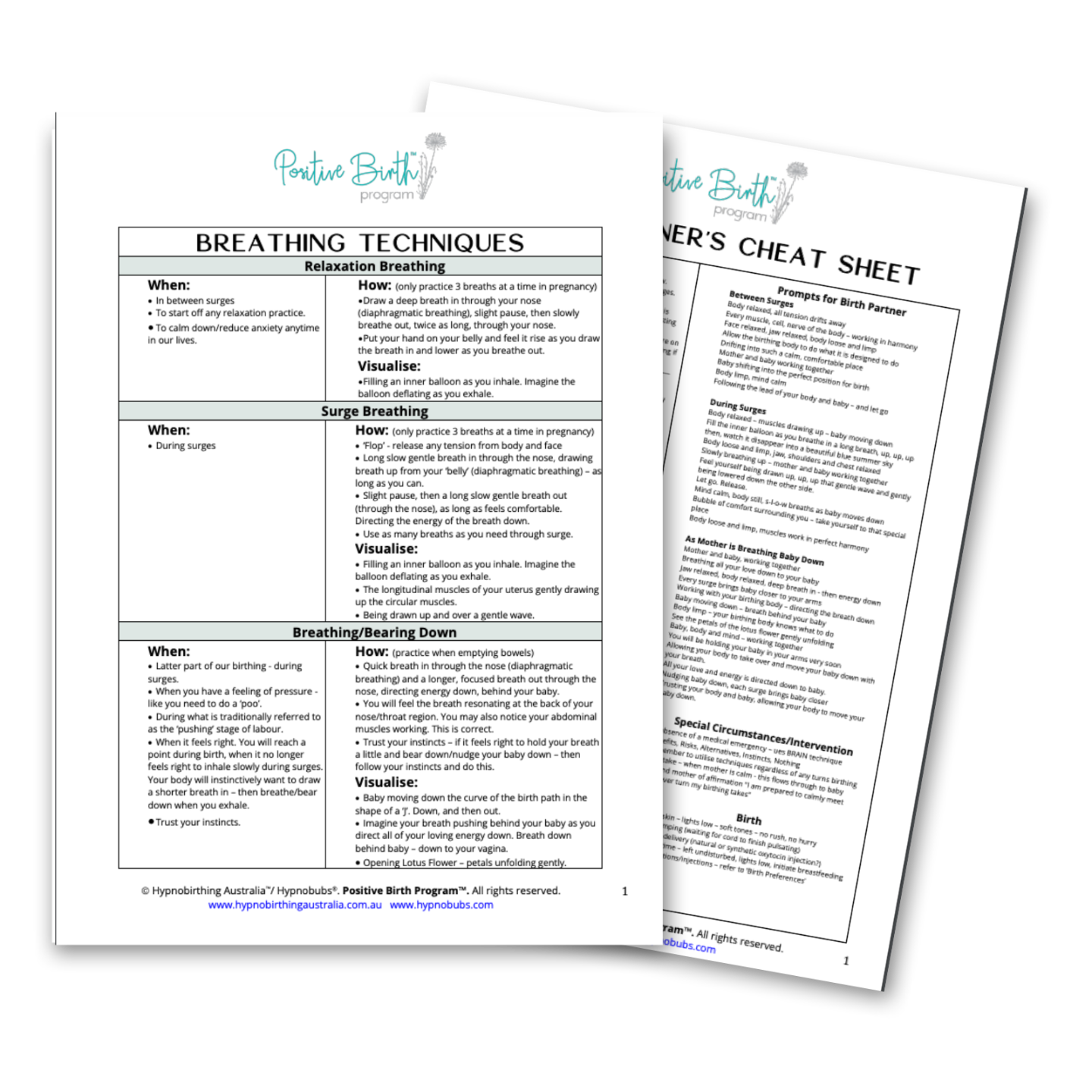 Positive Birth Program PDF Resources & Worksheets
