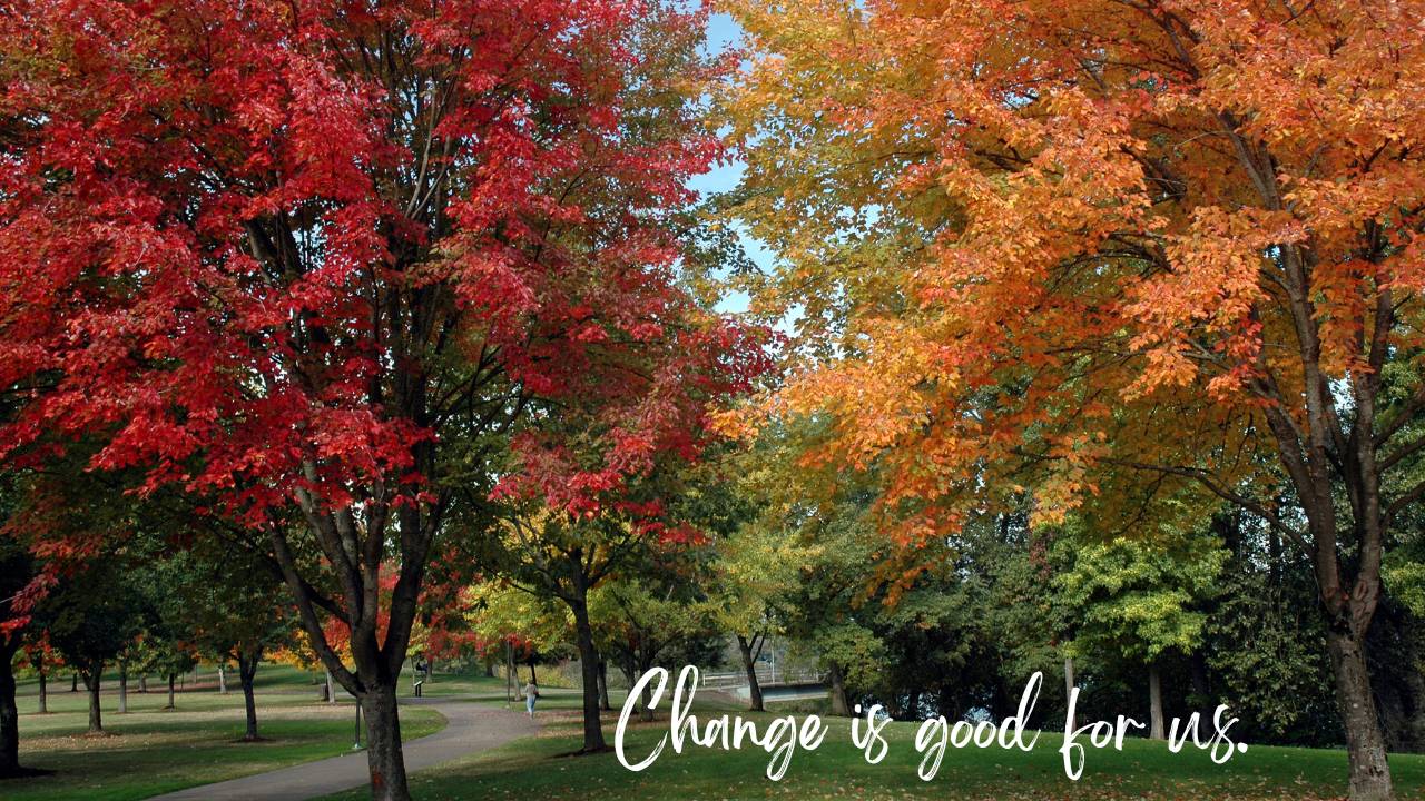 Change is normal and valuable. Make the most of it!
