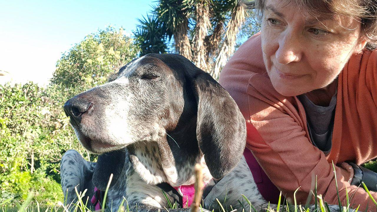 e3b03a-7df-fb36-50a1-