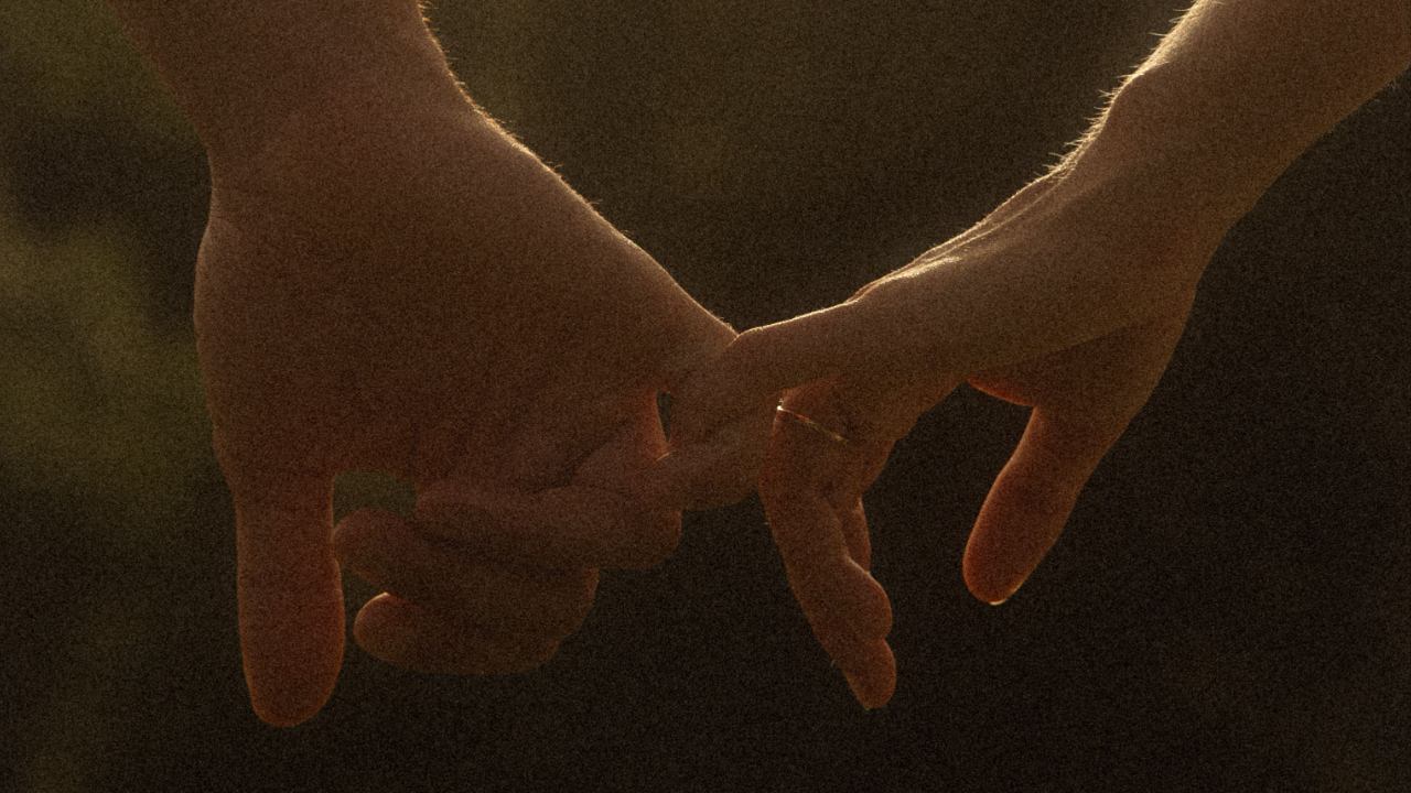 Two people holding hands against warm backlit background