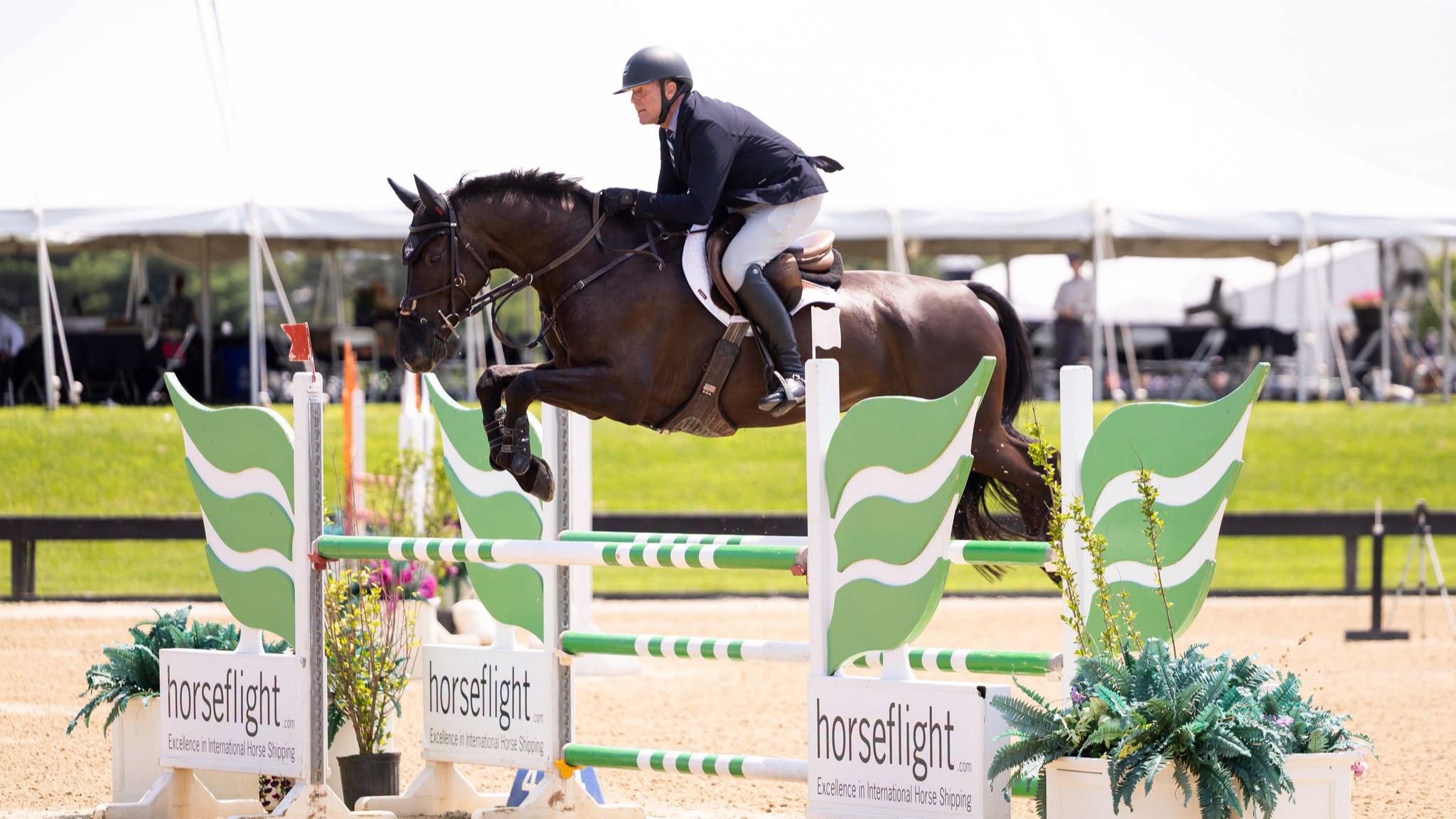 Boyd Martin Eventing Program coach Peter Wylde sails over a showjump on a black horse, demonstrating release of the neck and soft hands.