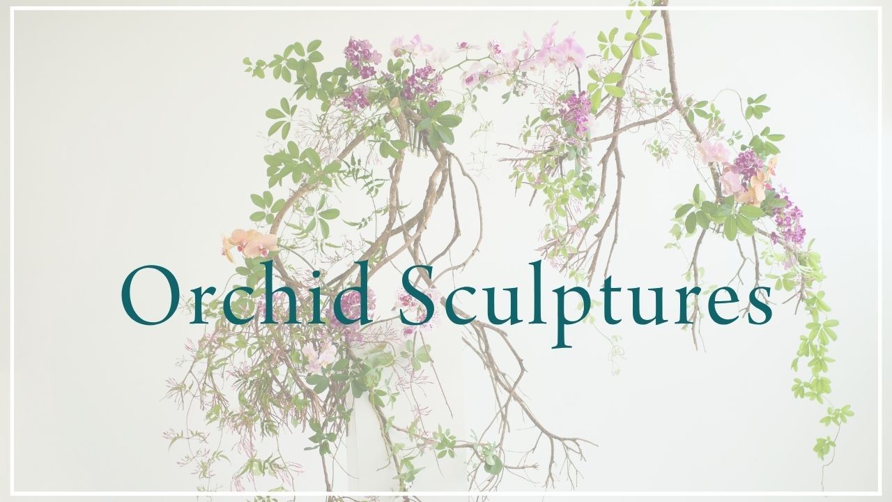 Orchid Sculptures (August 2026)