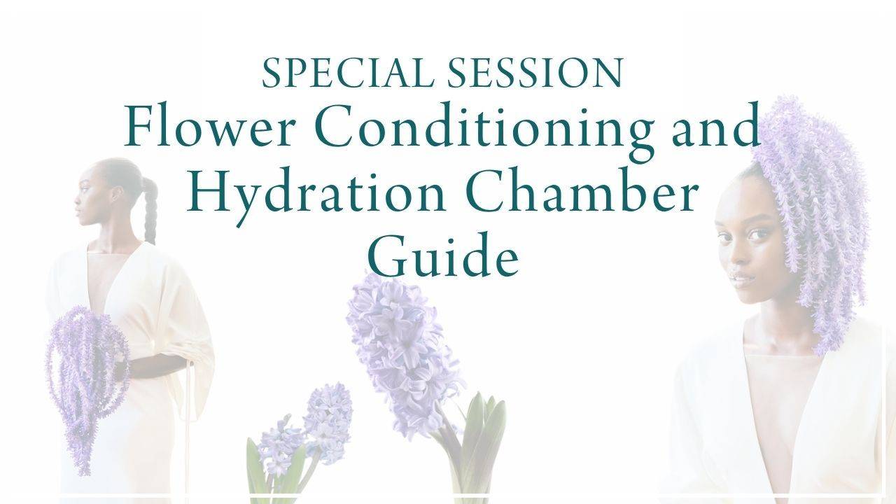 Flower Conditioning and Hydration Chamber Guide (April 2026)