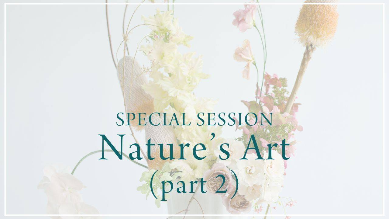 Nature's Art, part 2 of 2 (January 2026)