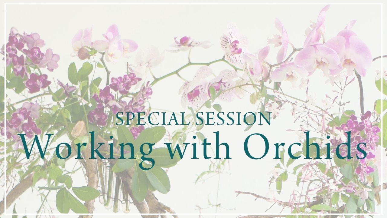 Working with Orchids (August 2026)