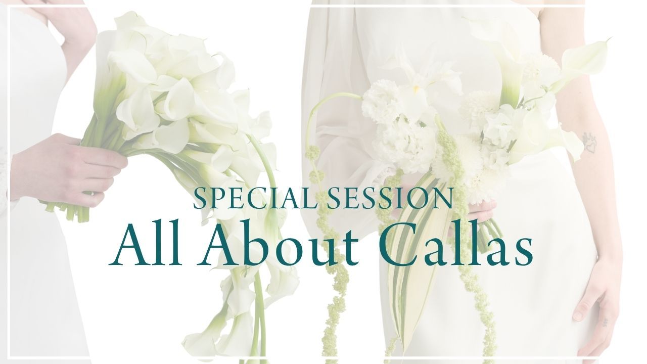 All About Callas (July 2026)