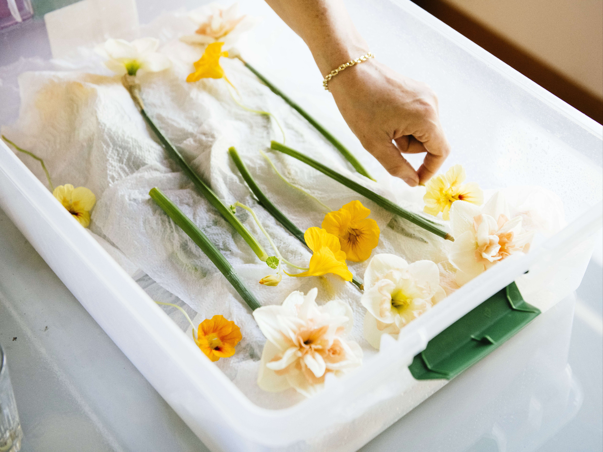 Flowers resting in a hydration chamber