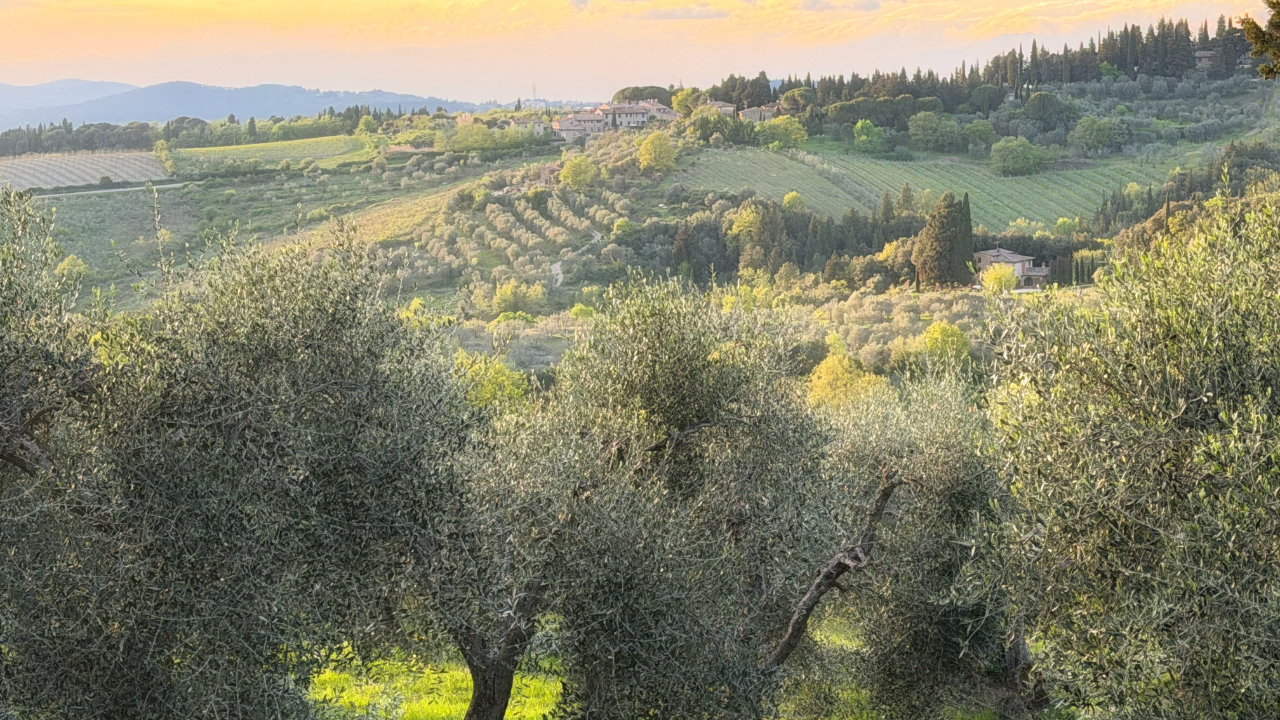 the rolling hills of Chianti Tuscany