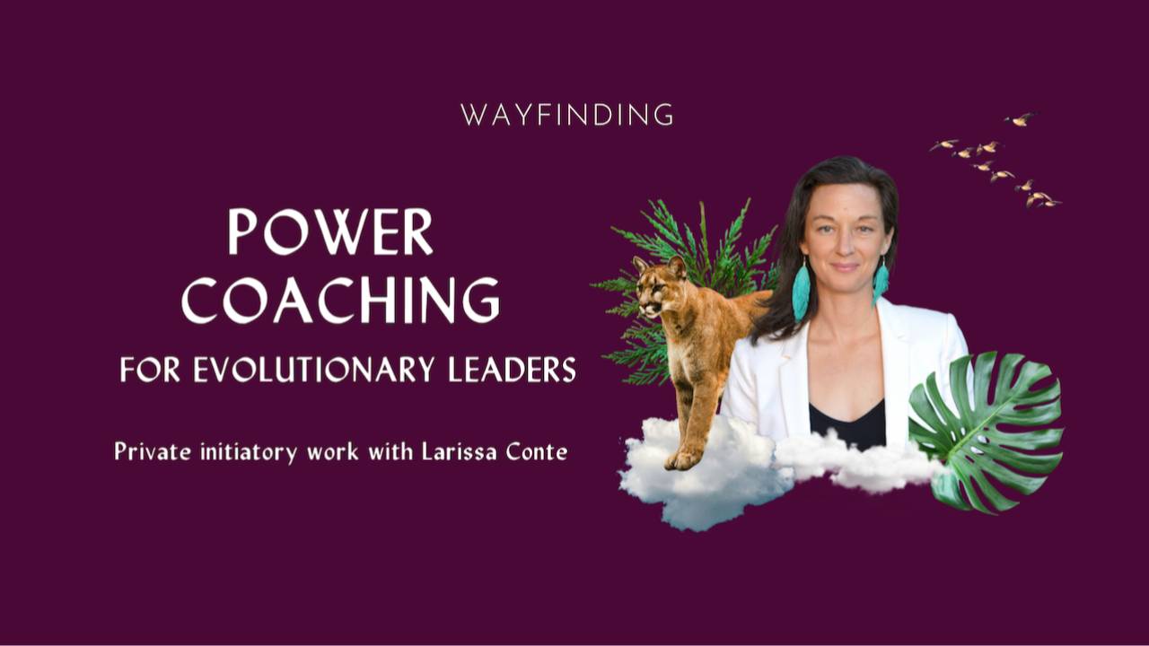 Power Coaching for Evolutionary Leaders | Wayfinding