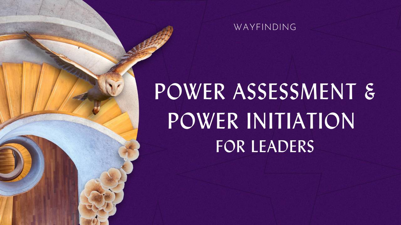 Power Assessment & Power Initiation for Leaders | Wayfinding