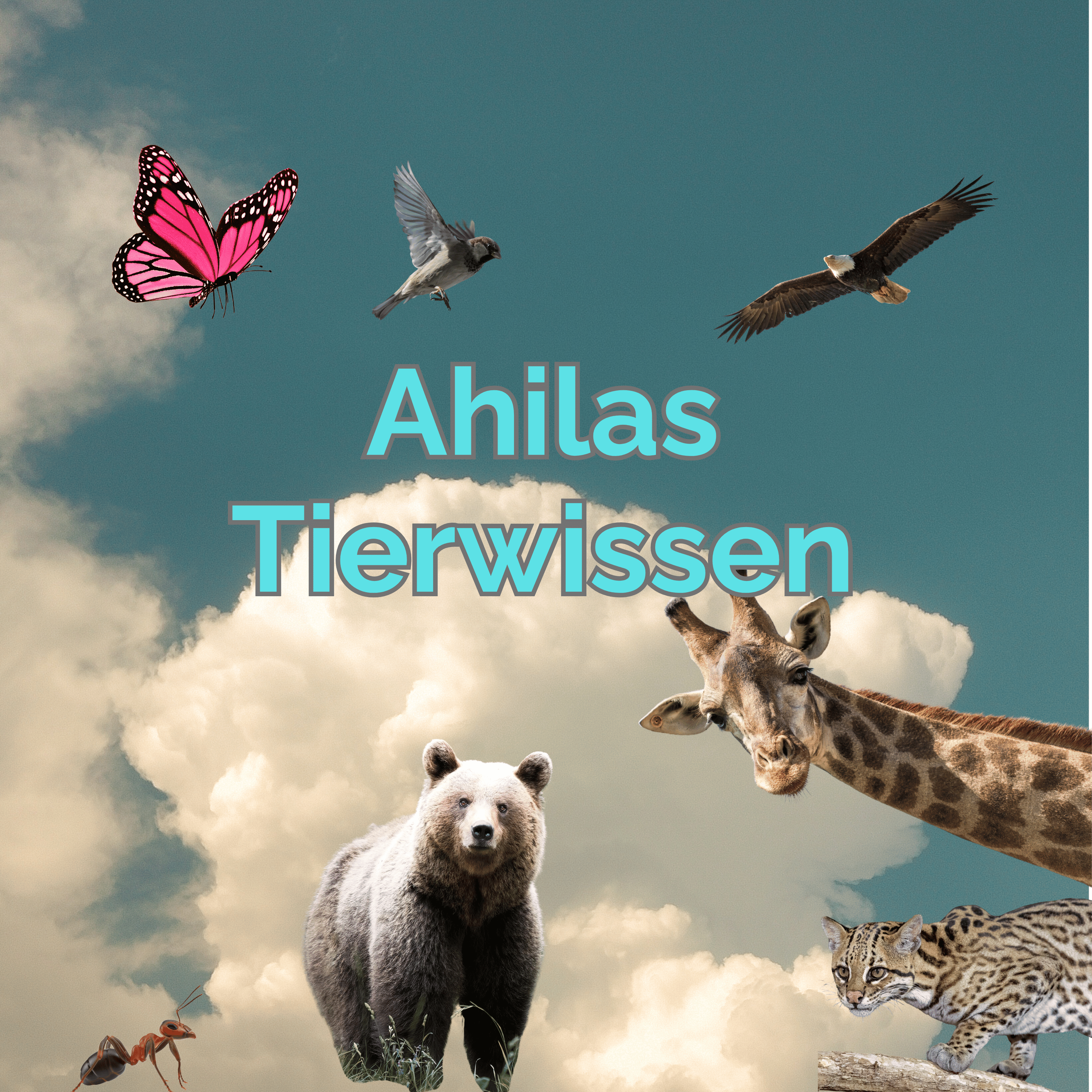 Ahilas Tierwissen