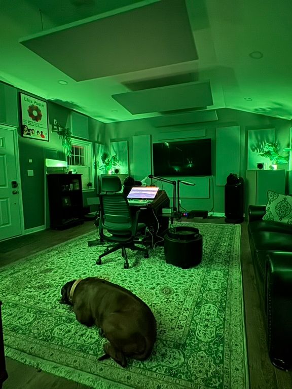 [ Daniel Wyatt In His Studio giving Feedback ]