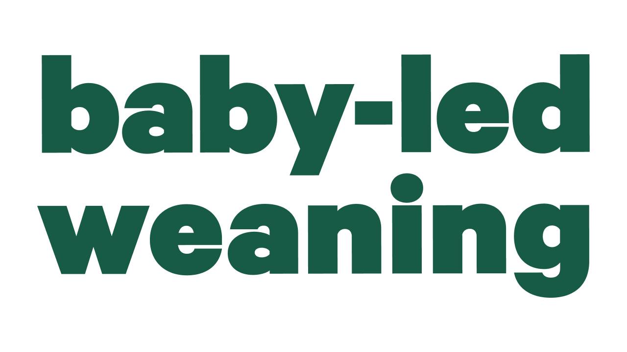 baby-led-weaning-with-katie-ferraro