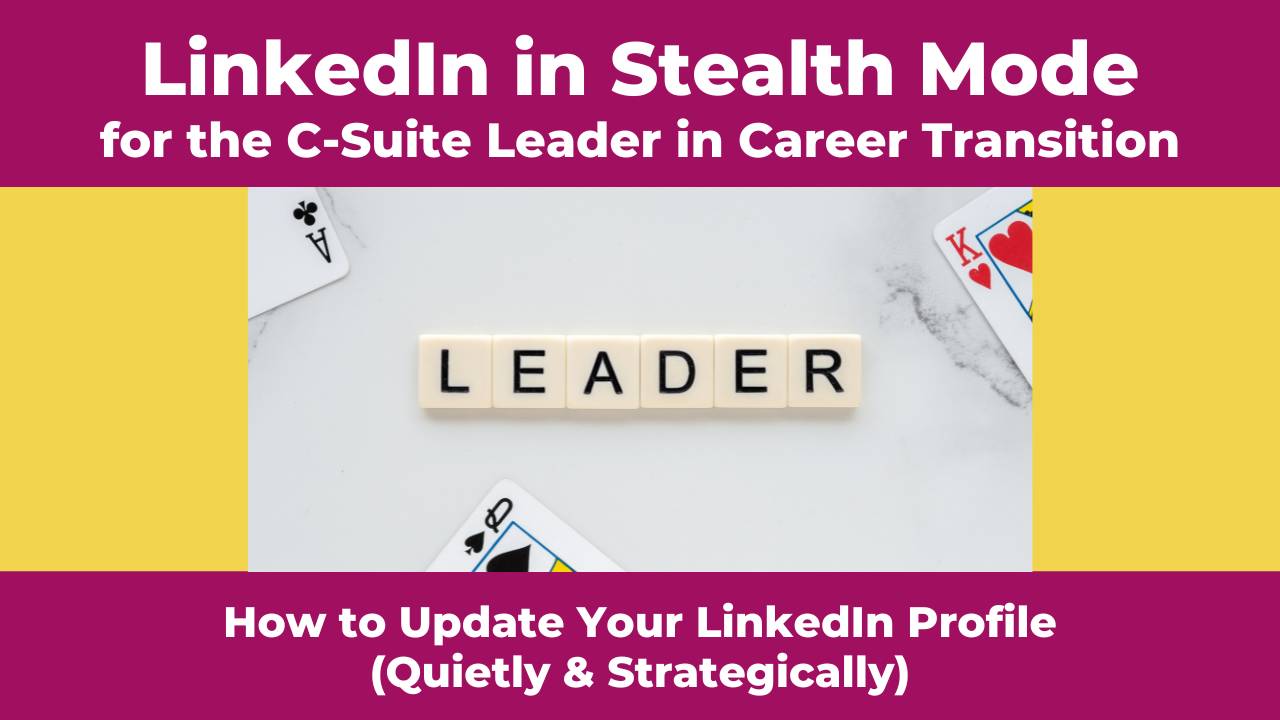 LinkedIn in Stealth Mode: -Suite Leader in Career Transition