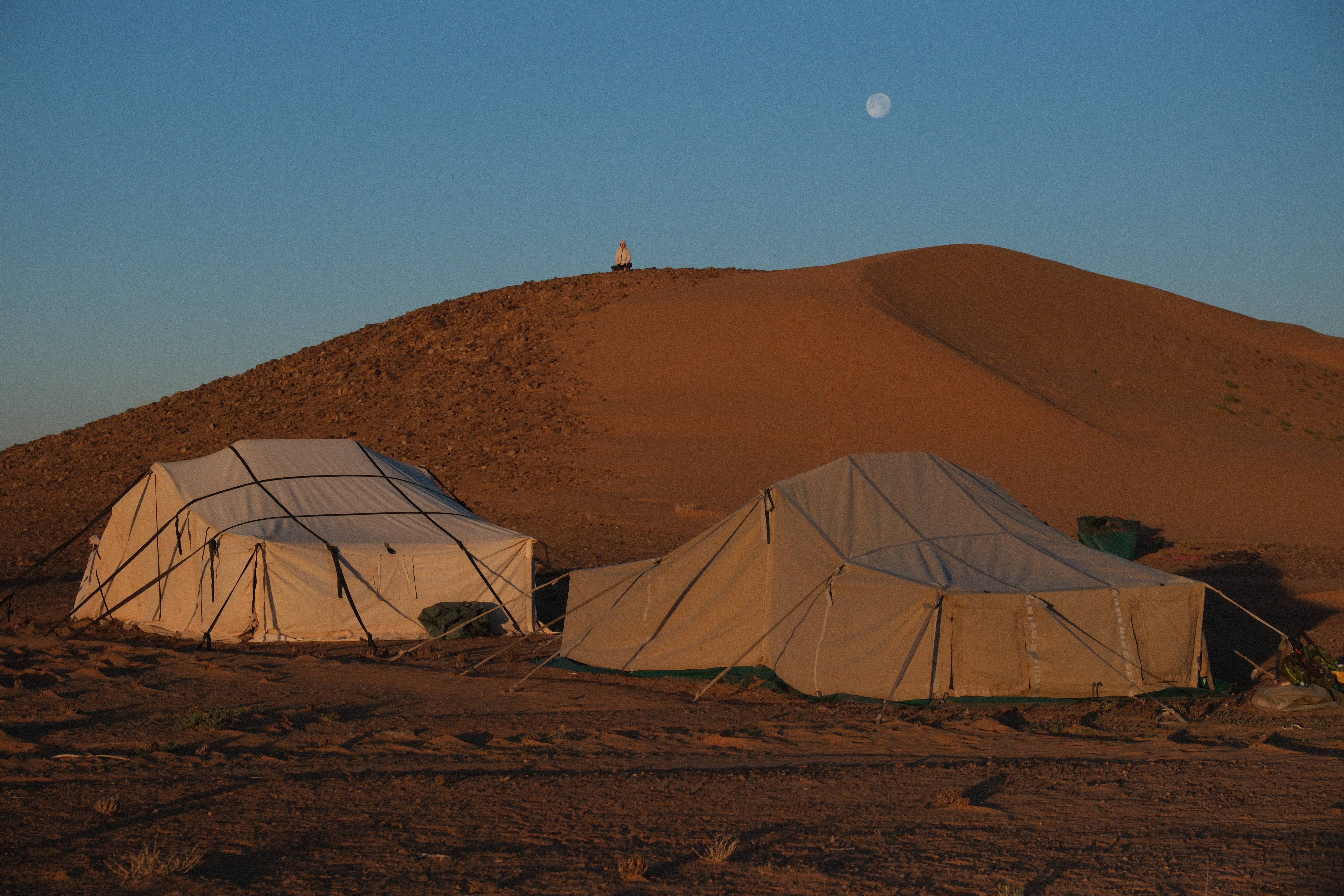 Campamento de jaimas nómadas