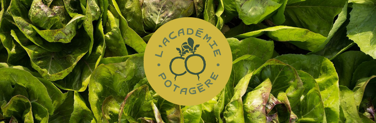 Logo de l'Académie Potagère