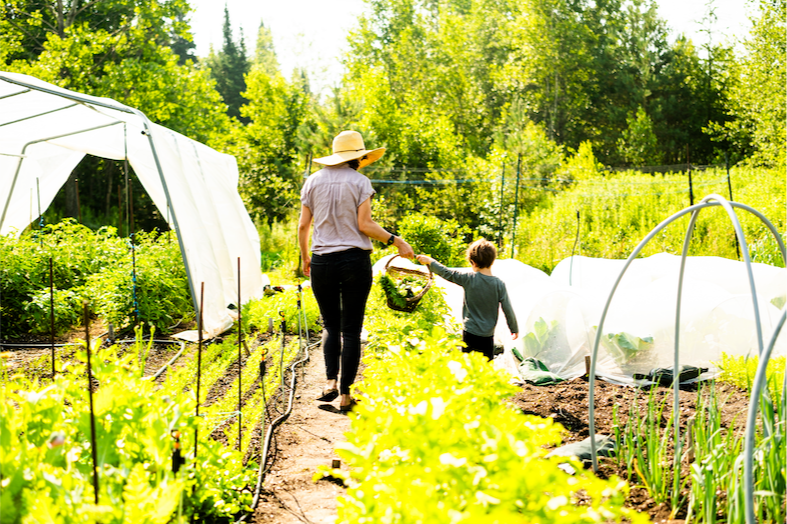 Un potager qui vous ressemble