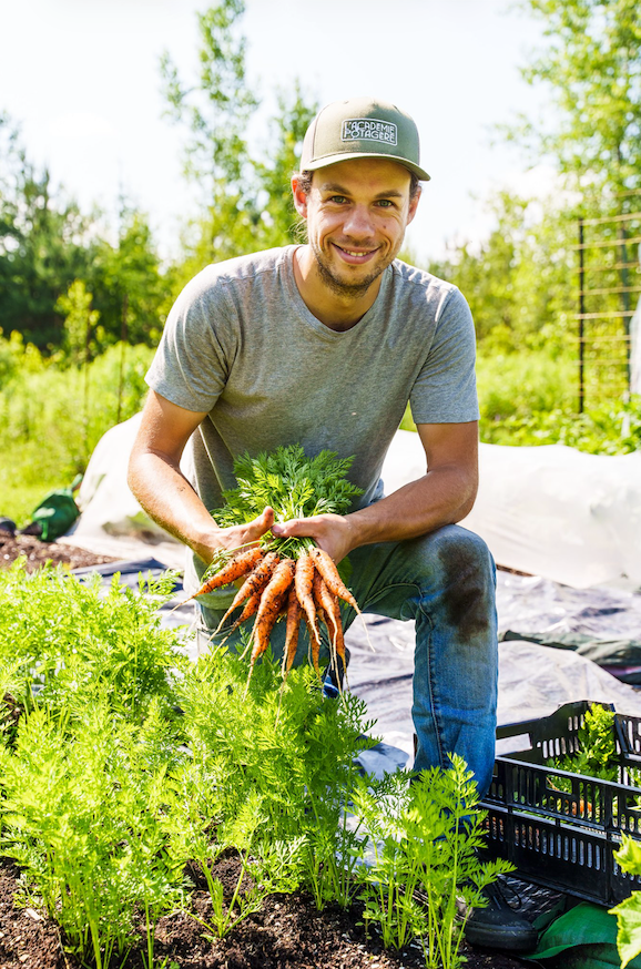 Dans le potager