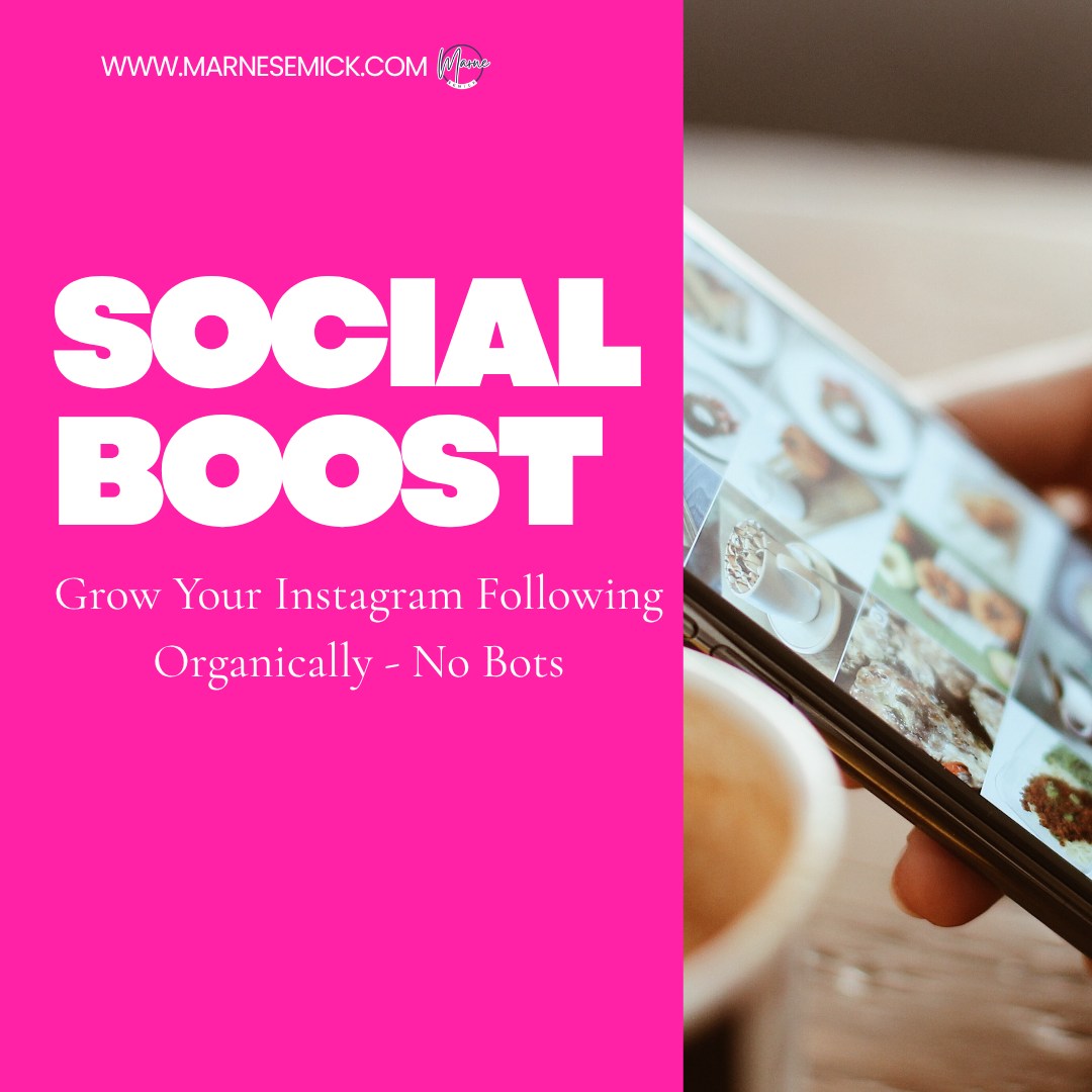 Social Boost Instagram audience growth service