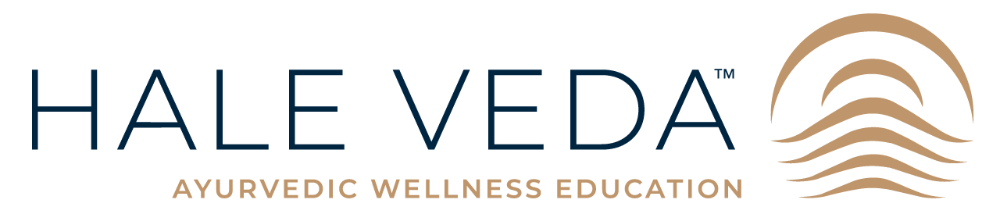 Header Logo