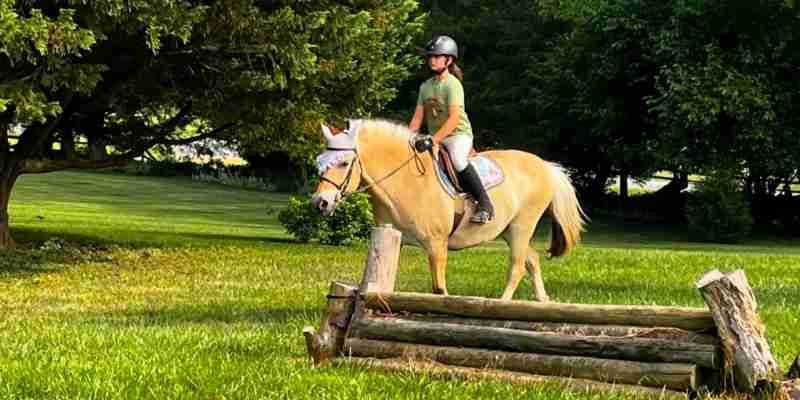 Riders on a trail ride