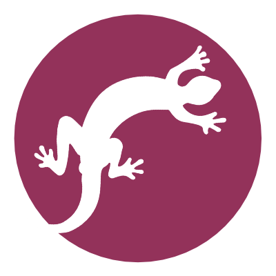 Learn how to move from the spine in the Gecko series.