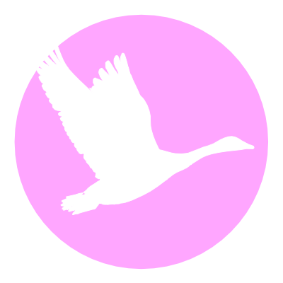 The Wild Goose Series – body, mind and energy in movement