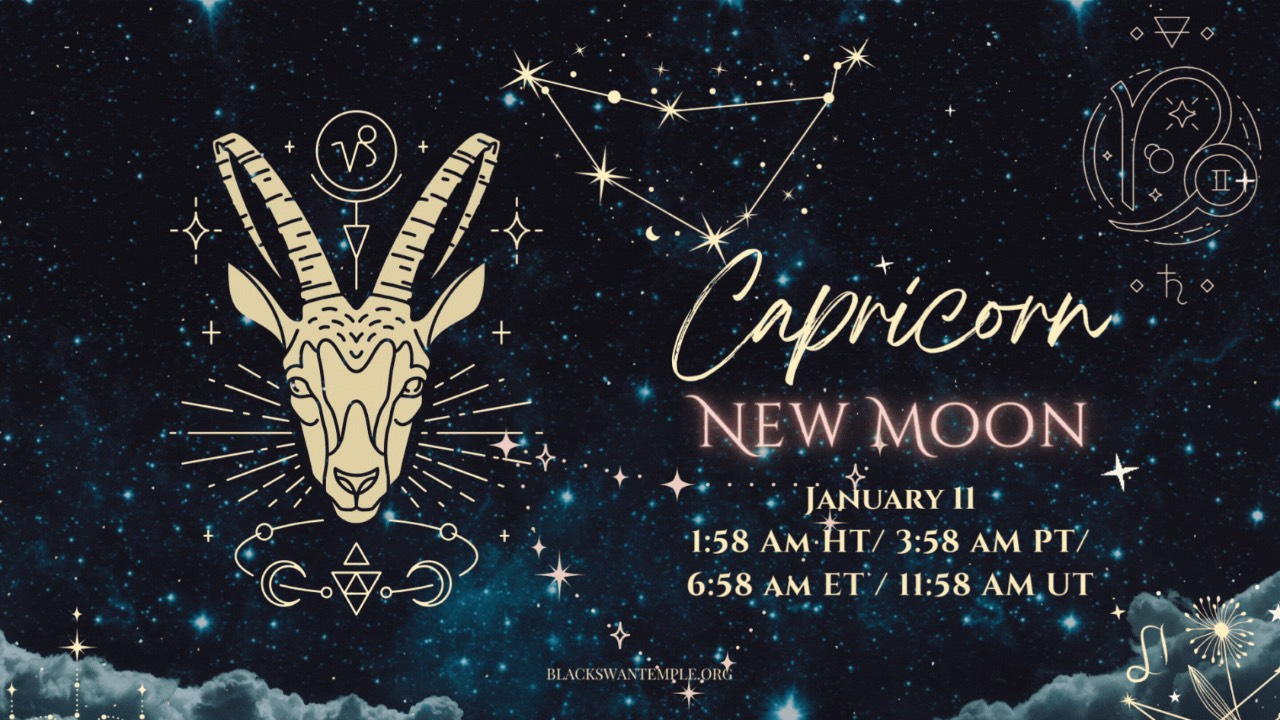 Daring to be a Visionary this Capricorn New Moon