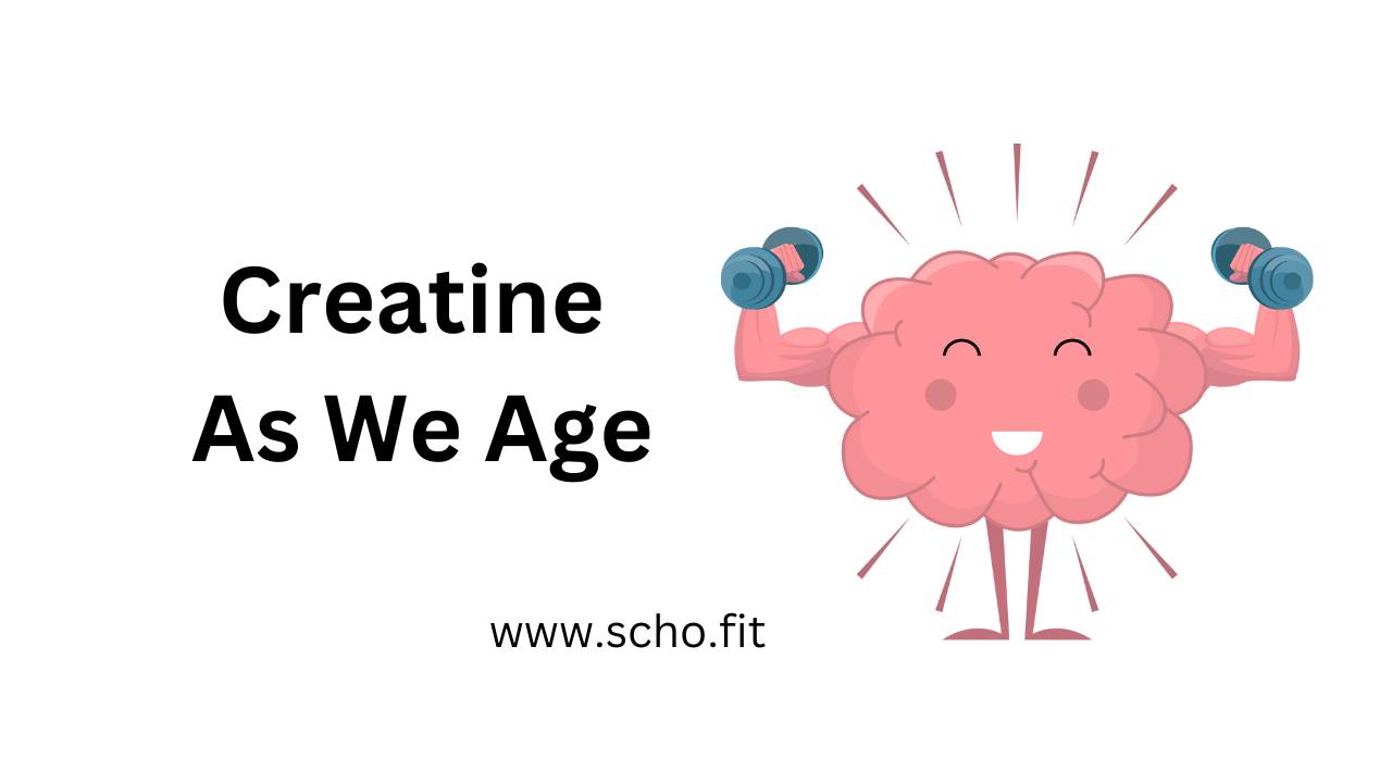 Creatine As We Age