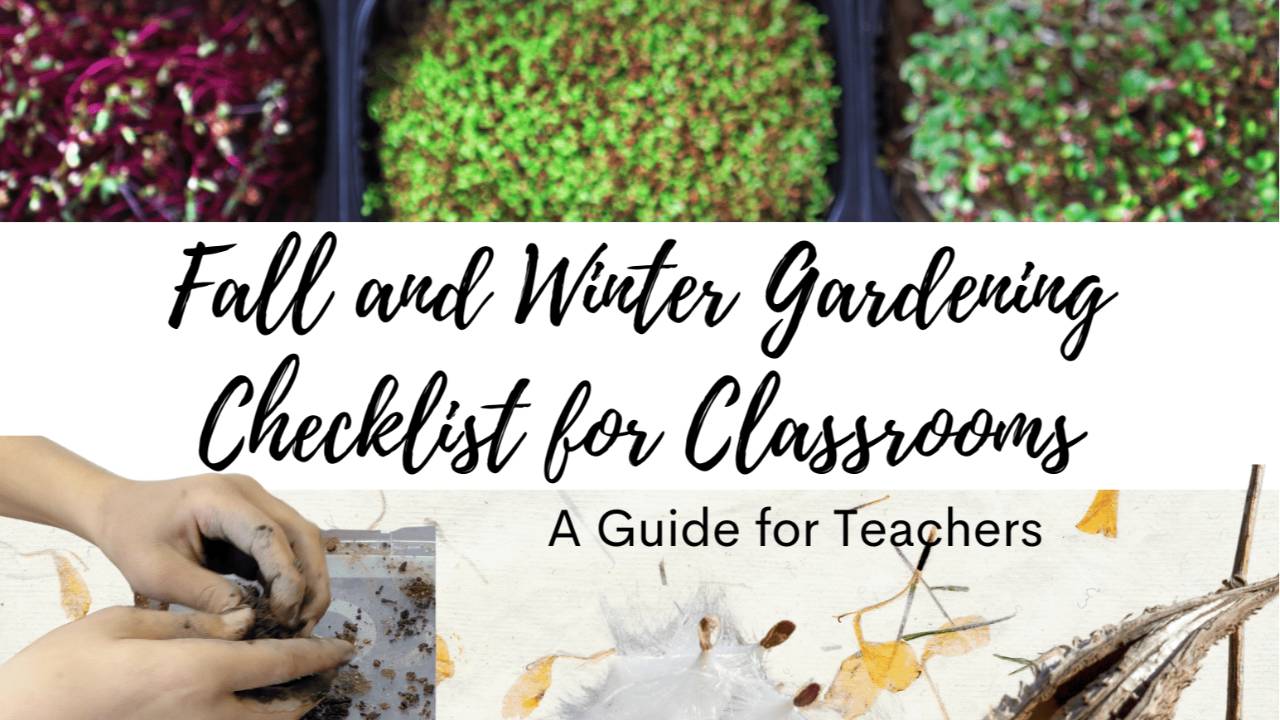 Fall and Winter Gardening Checklist for Classrooms