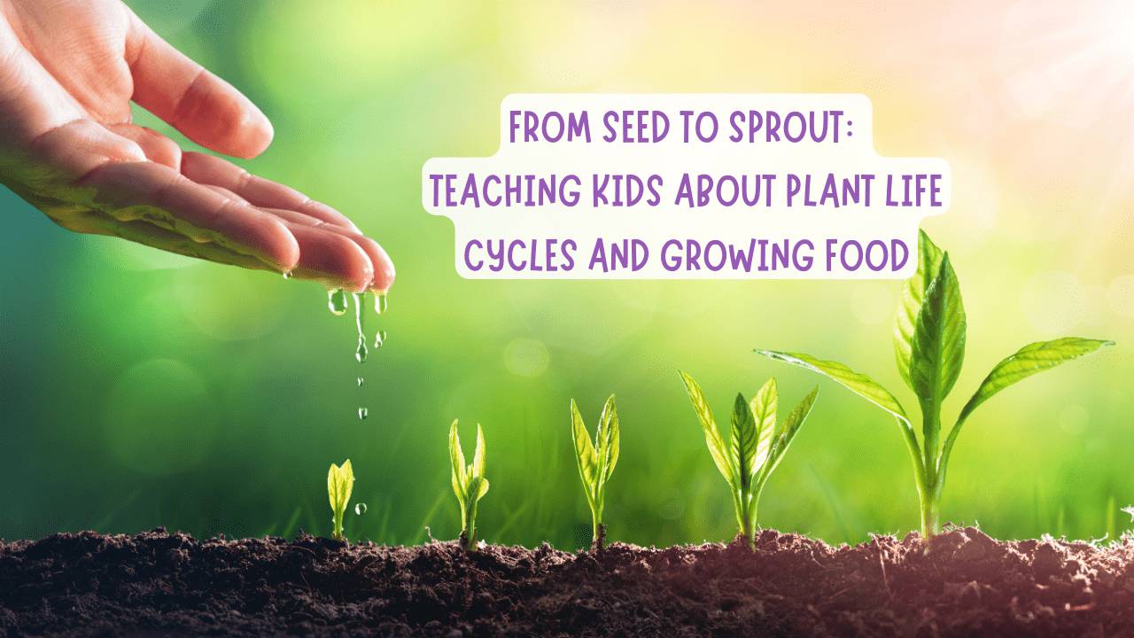 tomatoes planter Back to the Roots - Organic Cherry Tomato Windowsill Planter Growing Kit - Includes Seeds, Custom Soil, & Mason Jar Planter main image 0