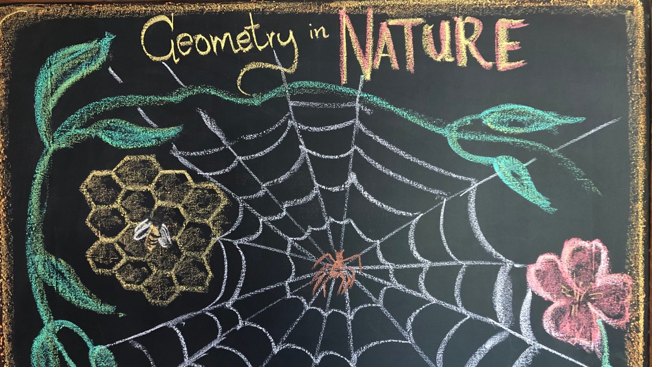 Interview with Seasons of Seven Waldorf Families