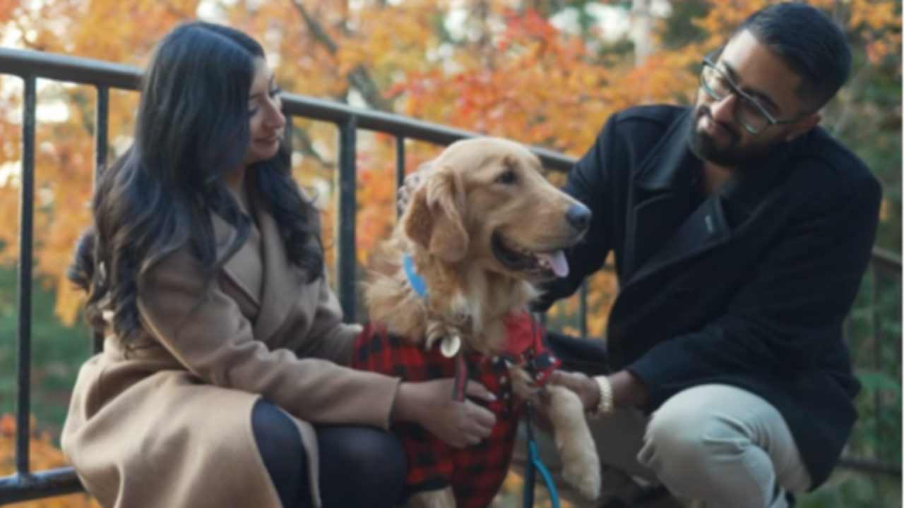 Clean still from a Happy Soul Films wedding film: couple with their dog outdoors in autumn.