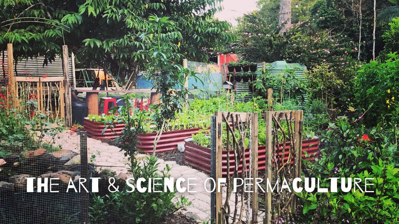 Permaculture Engineering The Art and Science Of Permaculture