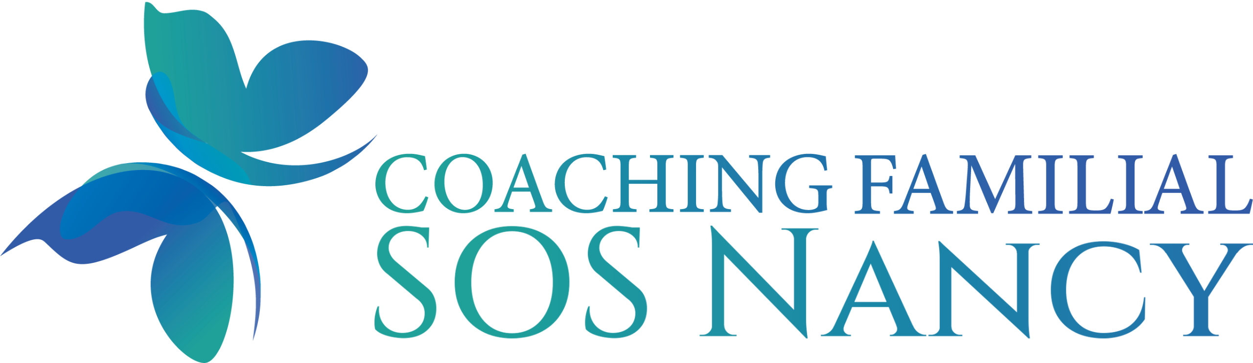 Institut de Coaching Familial — SOS Nancy